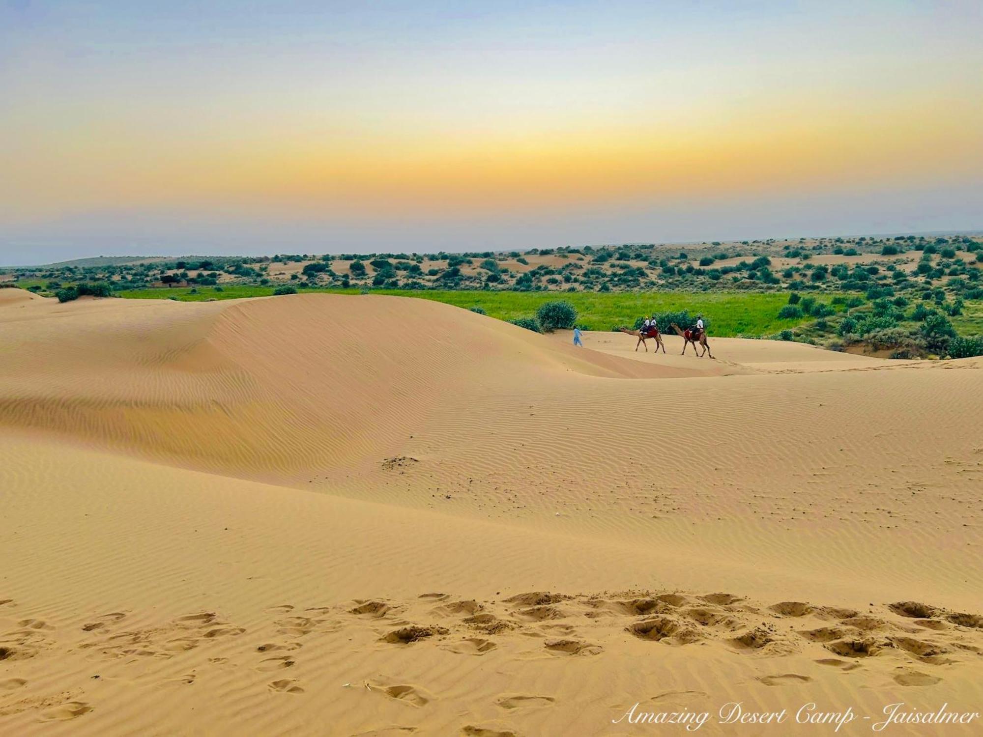 Amazing Desert Camp Jaisalmer Eksteriør billede